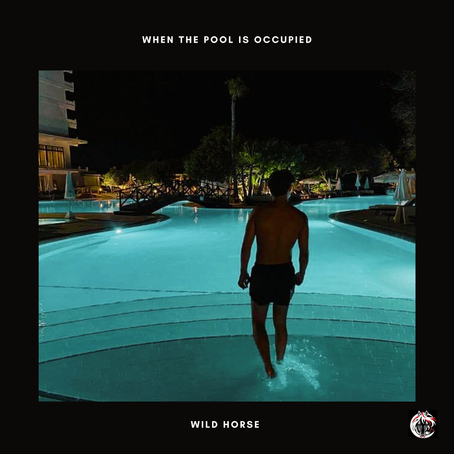 "When The Pool Is Occupied" Album CD